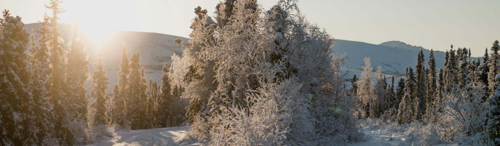 Bilde: Jan Kronies, unsplash