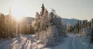 Bilde: Jan Kronies, unsplash