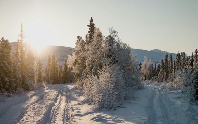 Bilde: Jan Kronies, unsplash