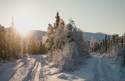Bilde: Jan Kronies, unsplash